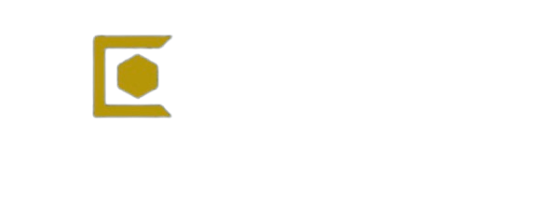 Logo img